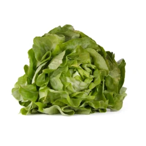 LECHUGA SEDA "VERDELLA" EN BOLSA X 160 GR