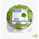 LECHUGA SEDA "VERDELLA" EN CAJA X 160 GR
