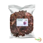 LECHUGA ROJA CRESPA "VERDELLA" X 180 GR