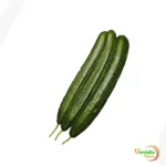 PEPINO HOLANDES "VERDELLA" X UND