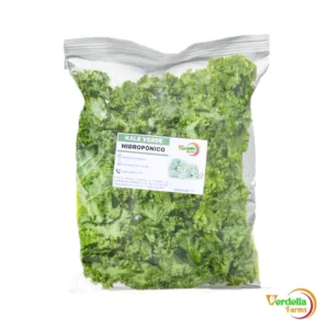 KALE VERDE "VERDELLA" X 90 GR