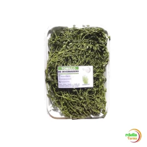 TOMILLO "VERDELLA" X 30 GR