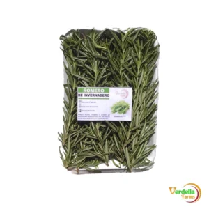 ROMERO "VERDELLA" X 30 GR