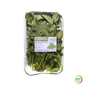 HIERBA BUENA "VERDELLA" X 30 GR