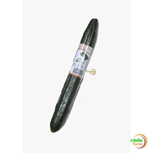 PEPINO JAPONES "VERDELLA" X UND