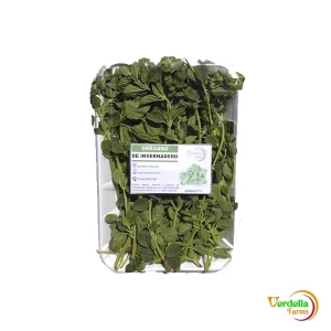 OREGANO "VERDELLA" X 30 GR