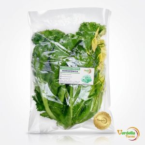 LECHUGA VERDE CRESPA 
